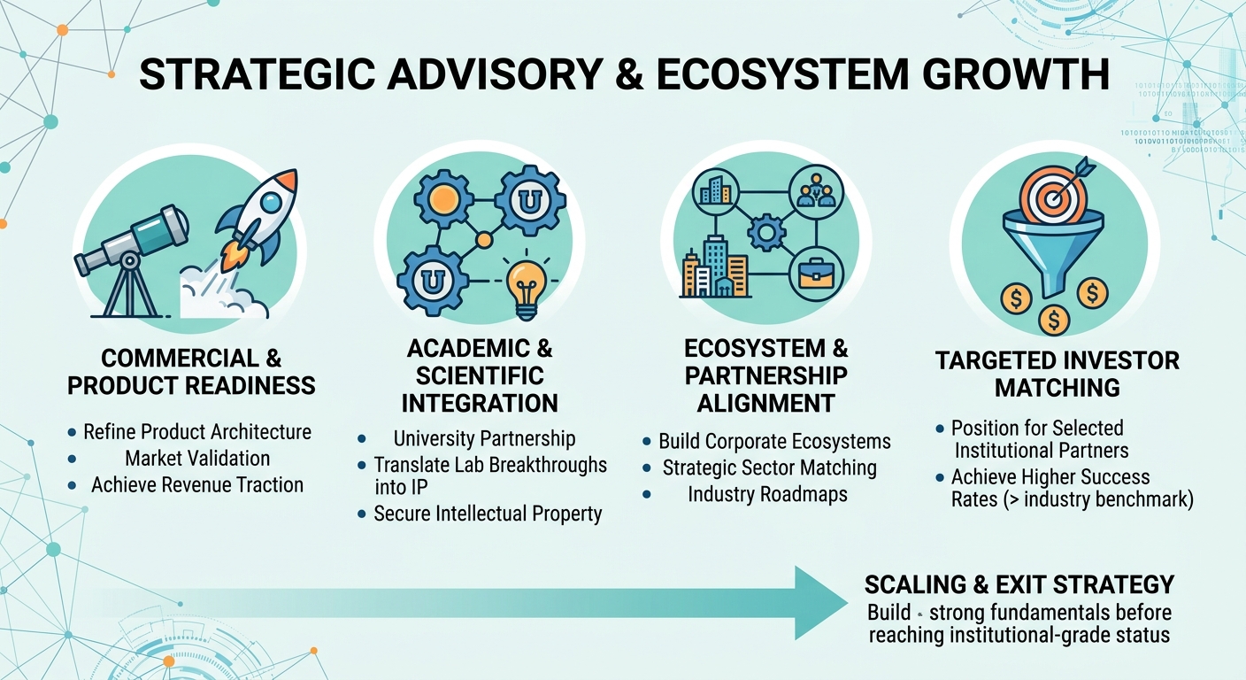 Strategic Advisory Beyond Traditional Venture Capital for Scale-Ups and Research Spin-Outs Nepal